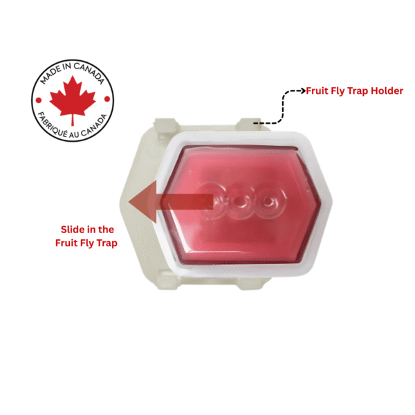 Multi-surface Commercial Fruit Fly Trap with Holder for Restaurant, Commercial Kitchens and more.