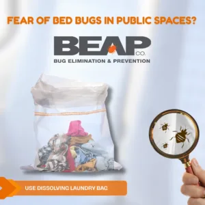 Dissolvable laundry Bag to get rid of bed bugs from clothes permanently.
