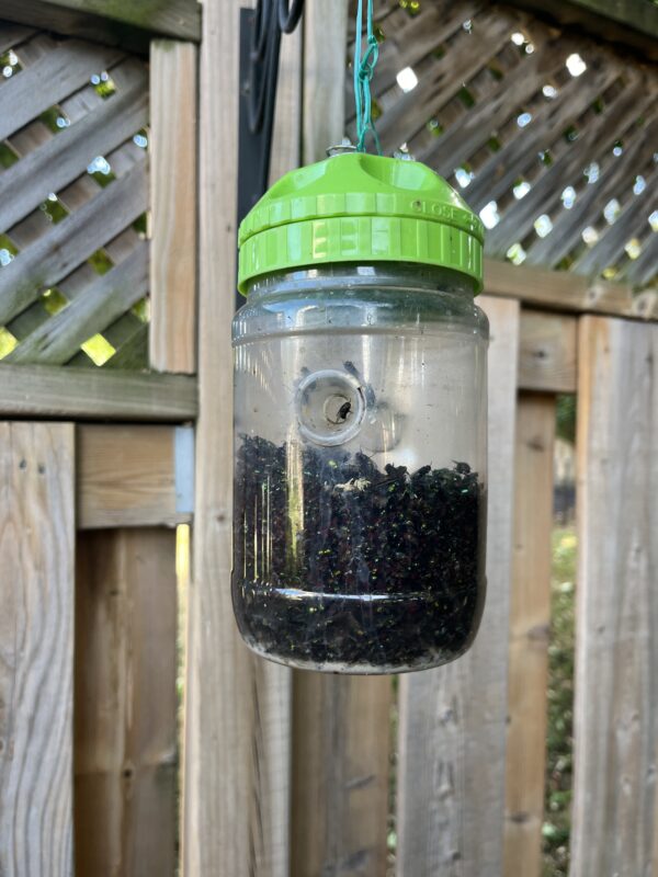 GREENSTRIKE Large Fly Trap (32 oz.) with a food-grade attractant and innovative 6-hole cap design for higher effectiveness. Made in Canada