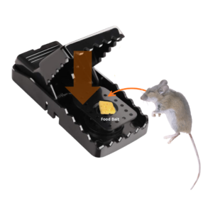 BEAPCO Rat Trap Mechanism Picture